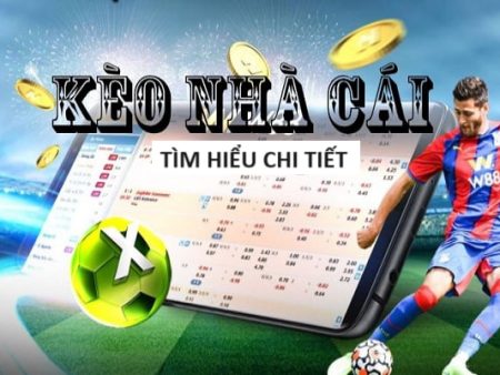 Lịch Đá Của Việt Nam Tuyển Quốc Gia 2024
