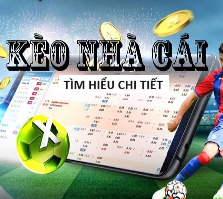 Lịch Đá Của Việt Nam Tuyển Quốc Gia 2024