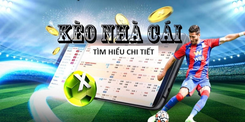 Lịch Đá Của Việt Nam Tuyển Quốc Gia 2024